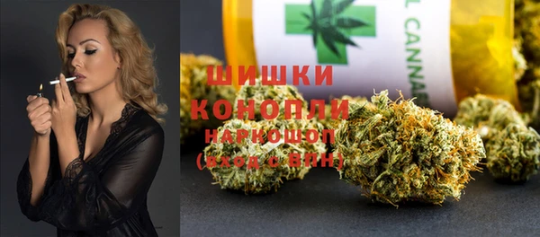 сатива Кодинск