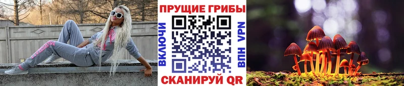 Купить закладки  Ясный  Галлюциногенные грибы мицелий 